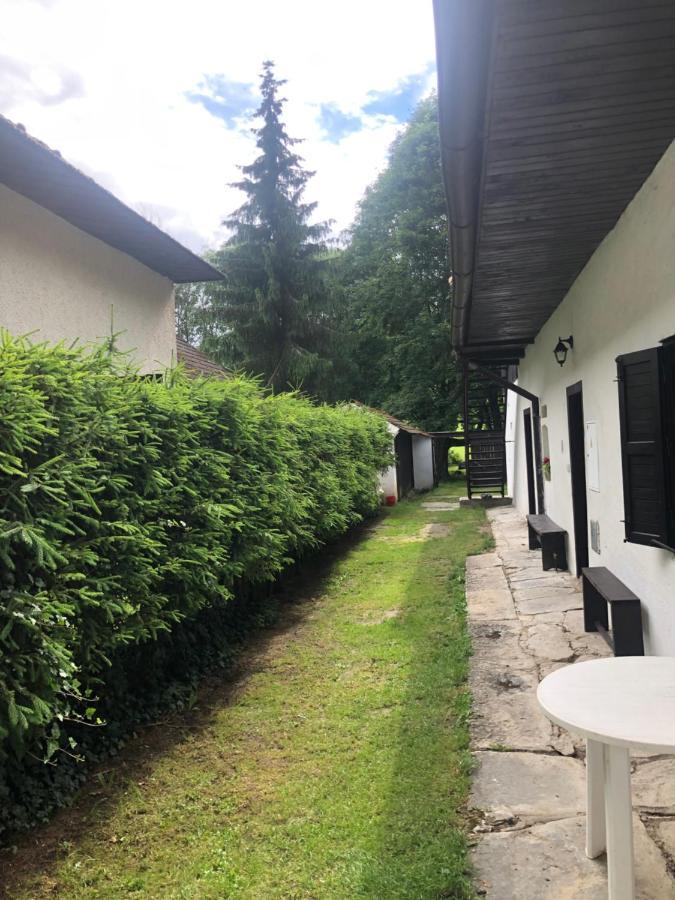 Apartmany Slavkovice-Lipno Černá v Pošumaví المظهر الخارجي الصورة